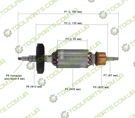 Якорь на болгарку AEG WS 12-125 XE