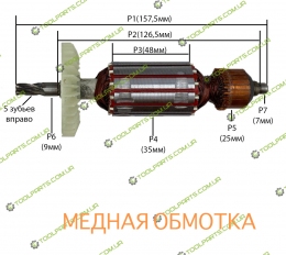 Якорь на перфоратор ЗЕНИТ ЗП-1020 